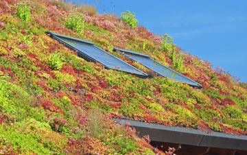 Woodside Green living roof systems